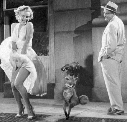 О том, как мы постоянно оцениваем развитие друг друга