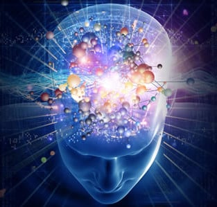 Медитация и физическая трансформация мозга. Часть 1: Таламус