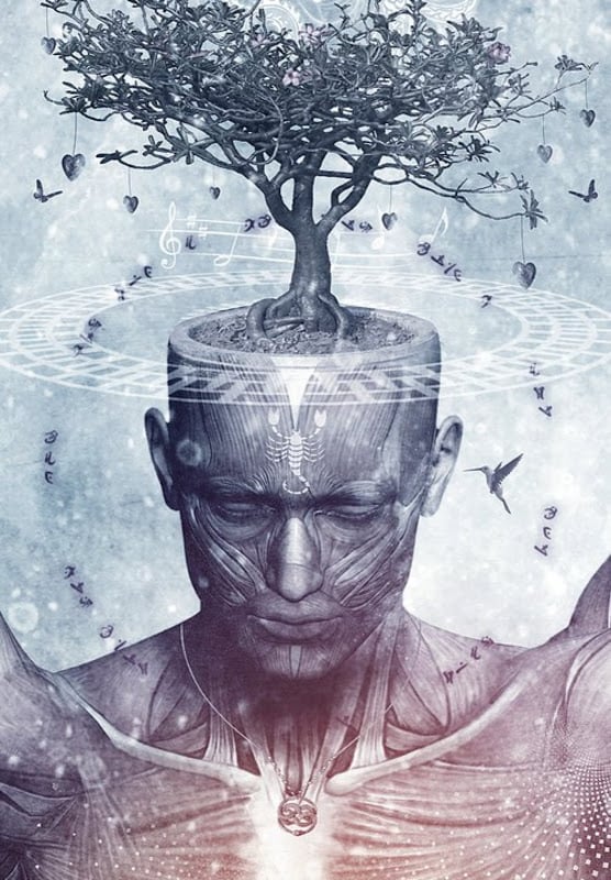 Медитация и физическая трансформация мозга. Часть 2: Левая префронтальная зона и теменная доля