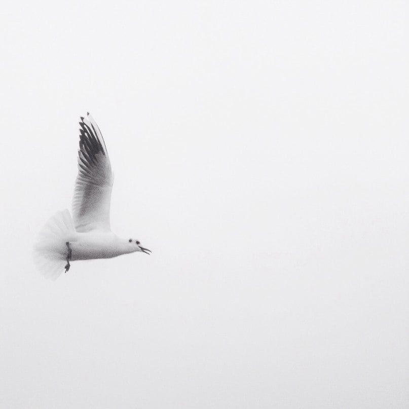 О первичной травме сознания