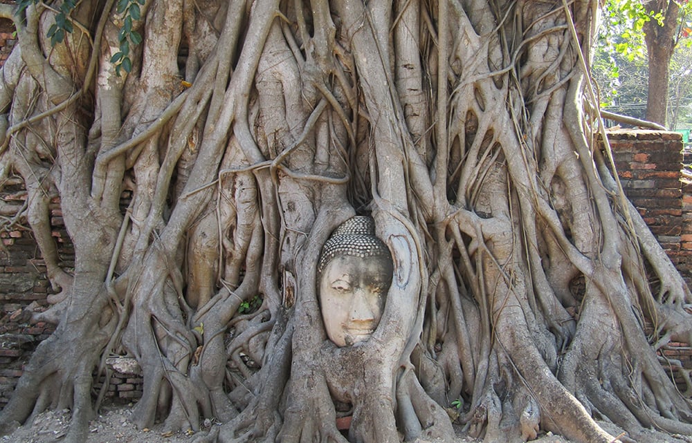 Практика медитации. Виктор Ширяев