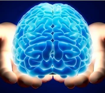 Медитация и физическая трансформация мозга. Часть 3: Средняя префронтальная зона